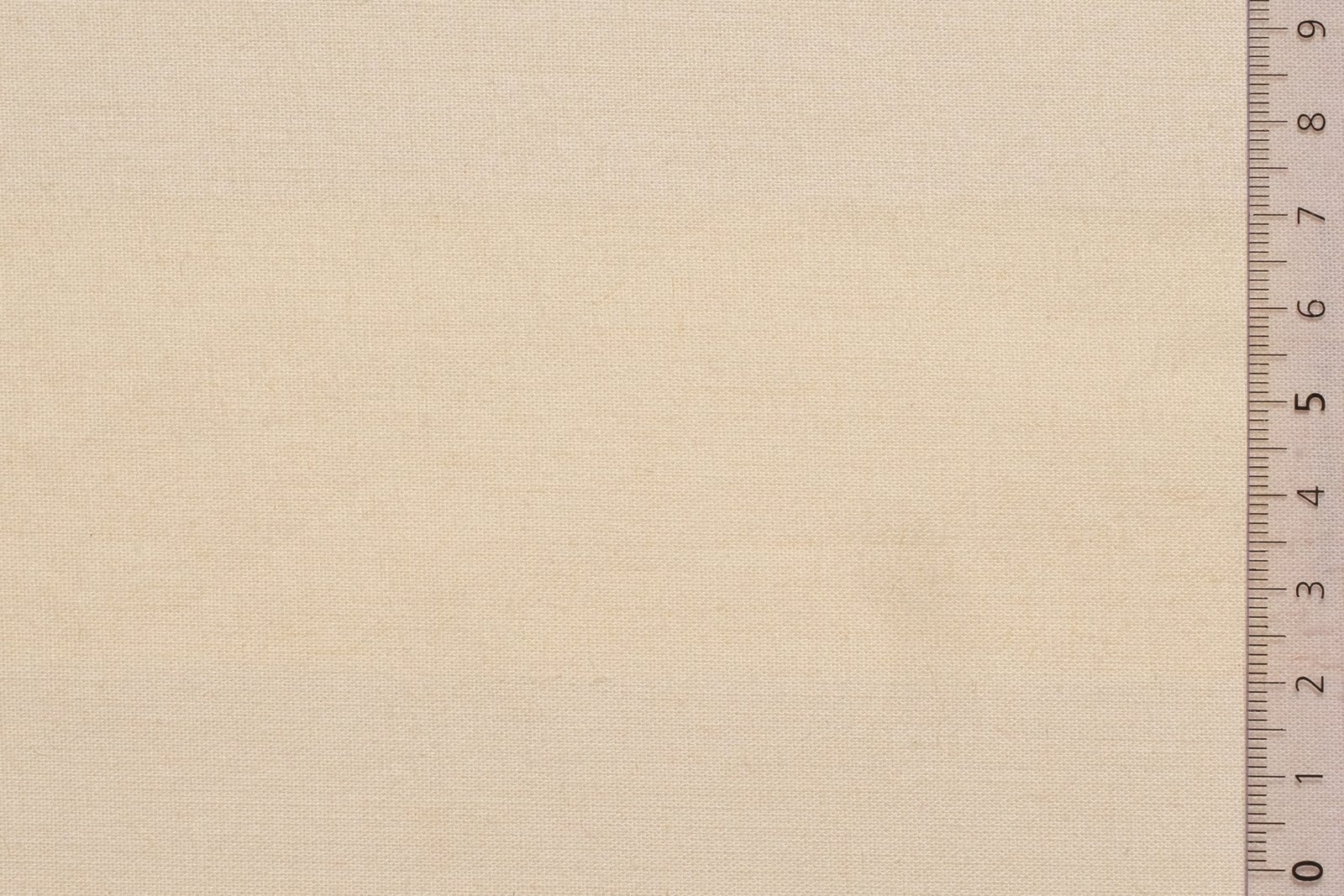 08KABSOF000ECRxxxCOT[CABOT SOFT](ECRU)F